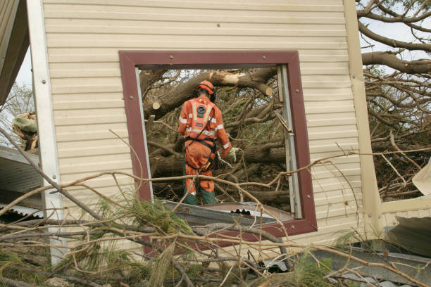 Best Emergency Tree Removal  in West, TX